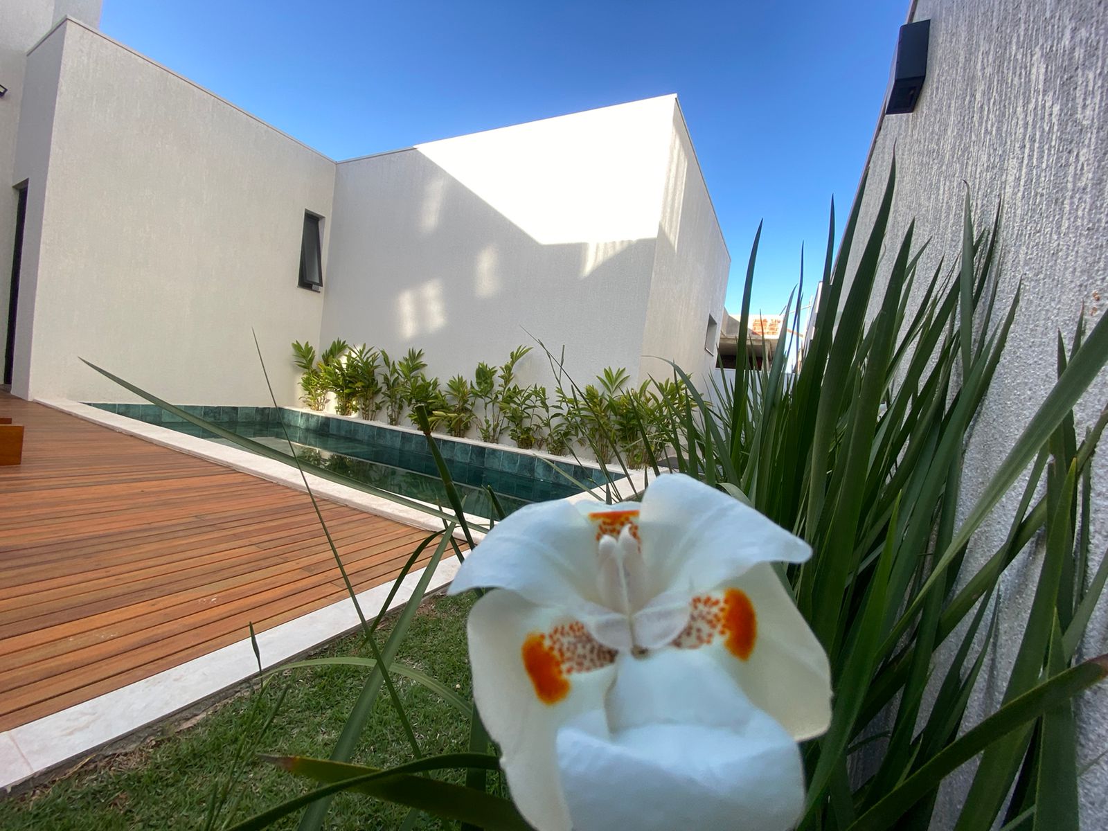 ac8381cc-e90a-42ba-9a78-100f9dc9fc5e